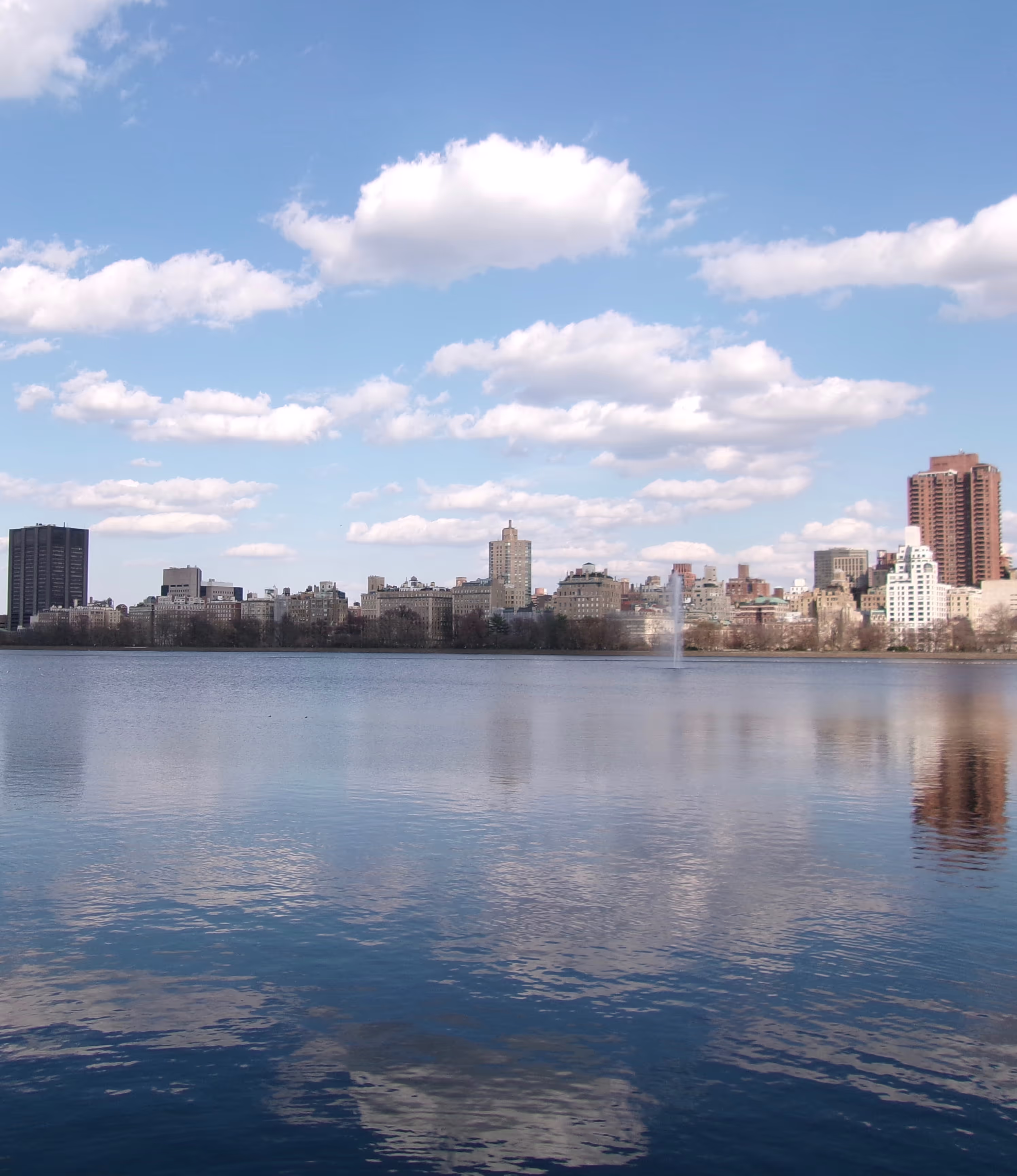 Film photo taken by Silvia